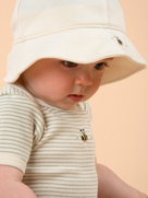 �������˥å����åȥ�٥ӡ���Dimples�ϡ��֥��꡼��